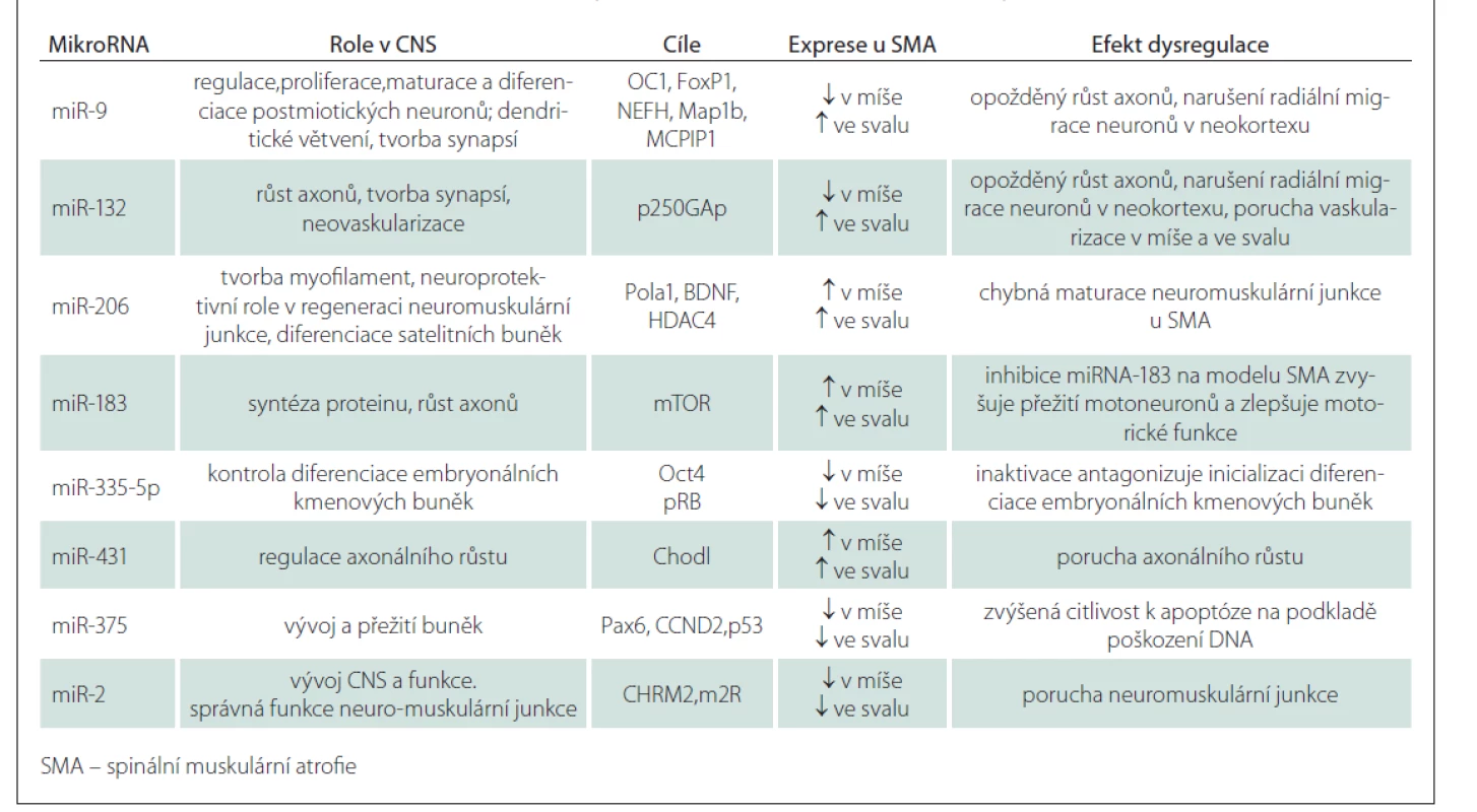 Kandidátní miRNA jako potenciální biomarkery, terapeutické cíle a etiologické faktory v patogenezi SMA [3].