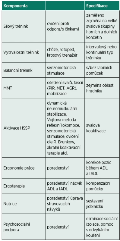 Komponenty programu plicní rehabilitace.